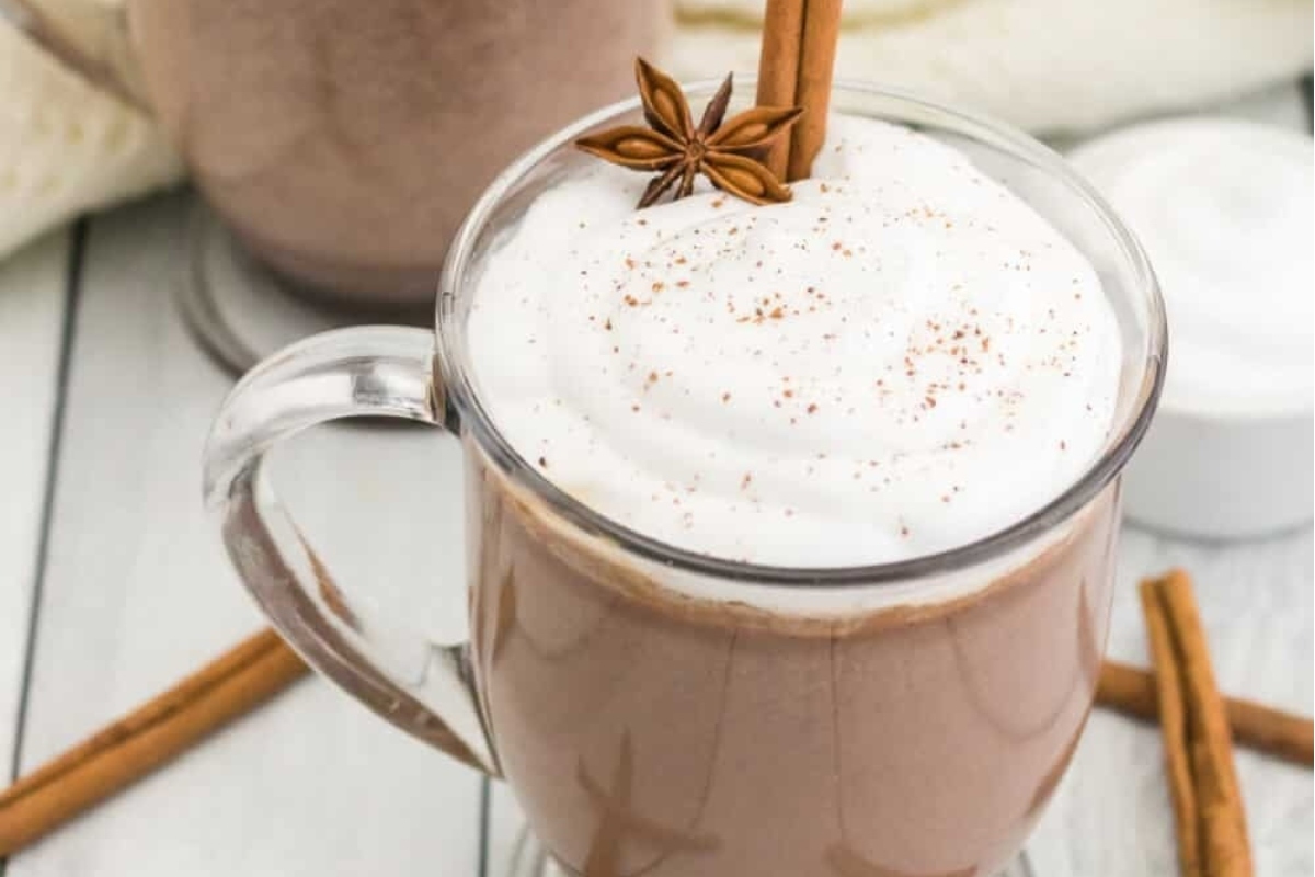 A steaming cup of cocoa with cinnamon and whipped cream.