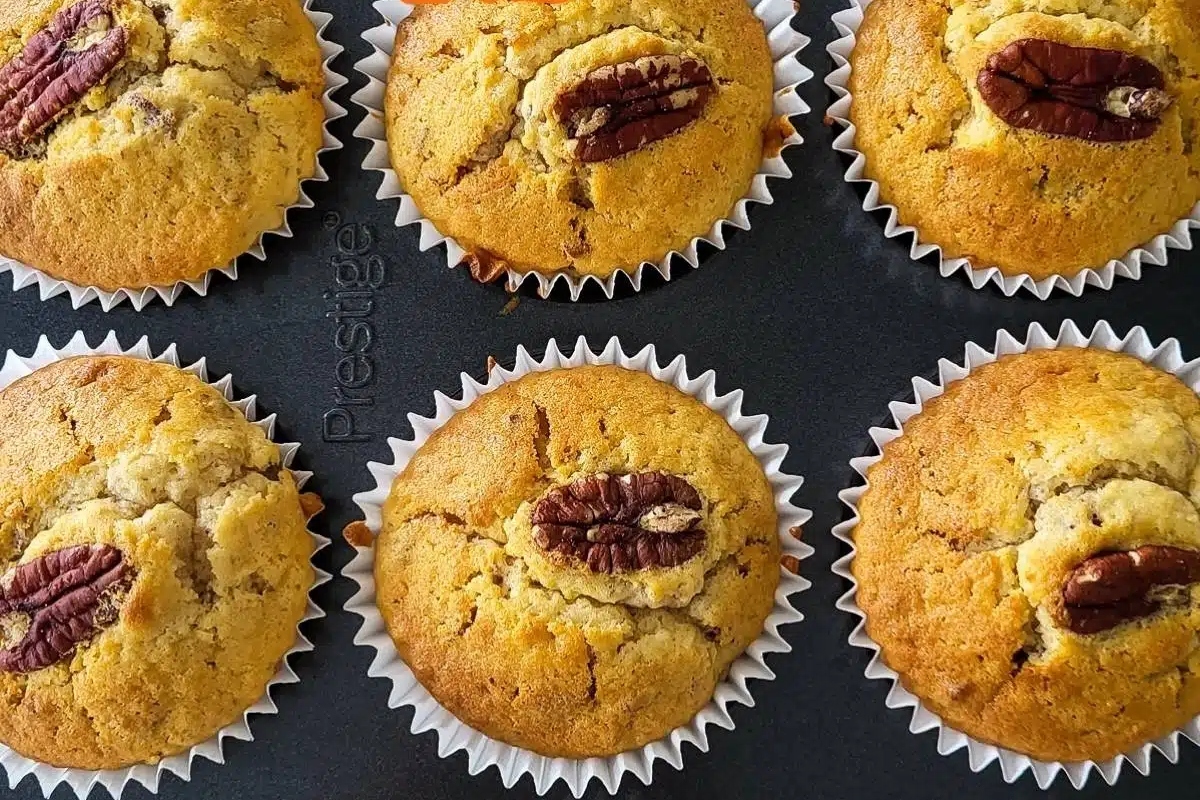 Easy pecan muffin recipe perfect for breakfast, baked on a sheet with ample pecans.