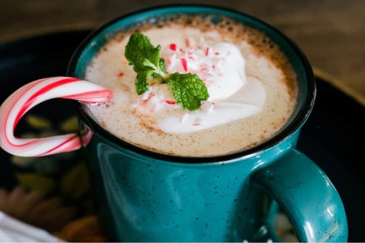 A cup of cocoa with whipped cream