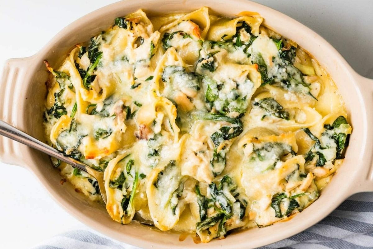 Chicken Alfredo Stuffed Shells