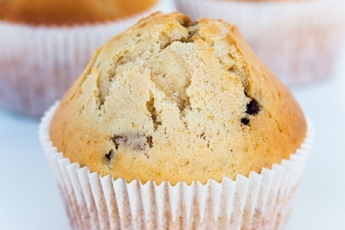 Cranberry Muffins Recipe
