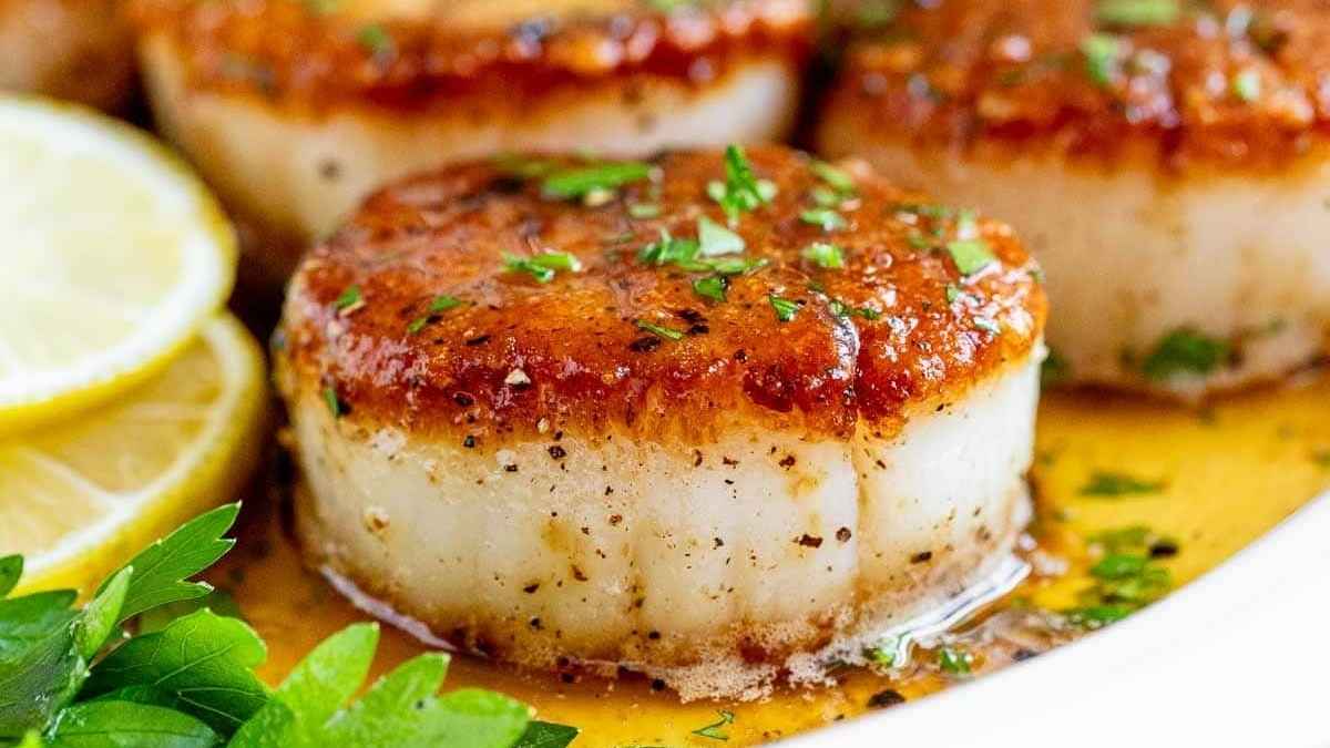 Pan Seared Scallops. 