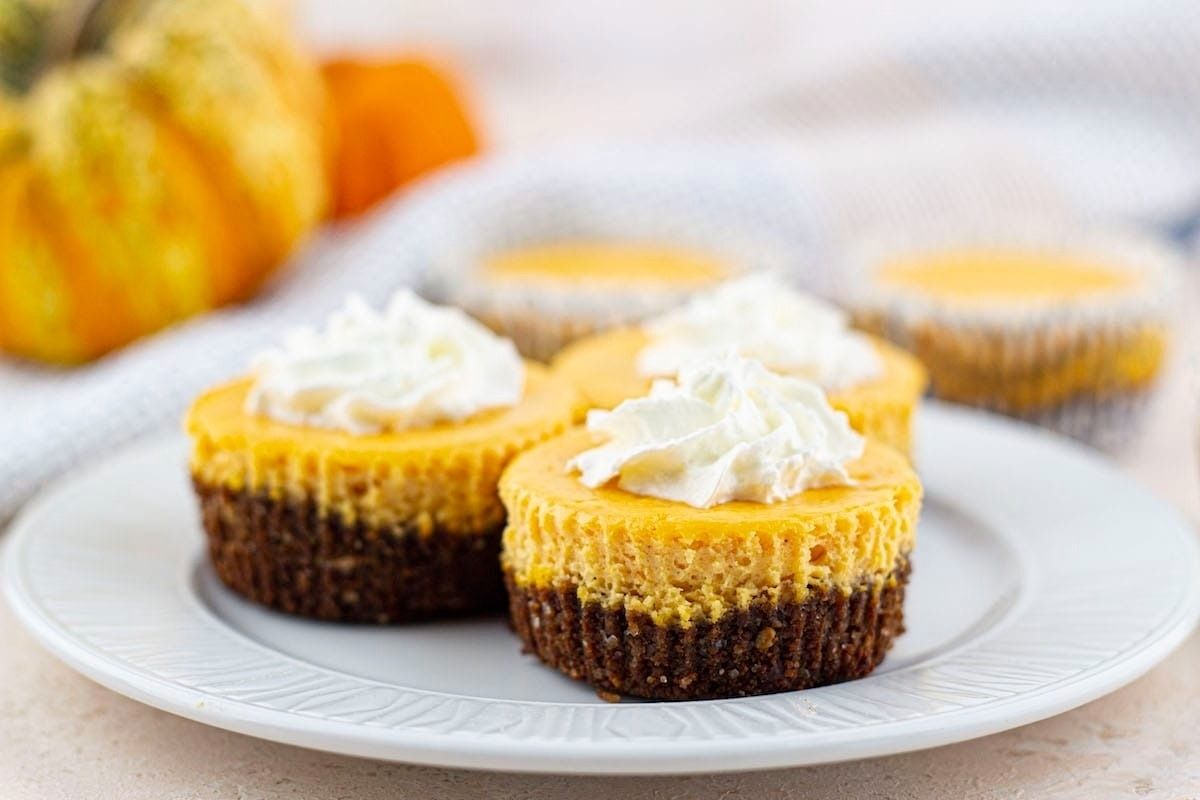 Pumpkin Cheesecake Bites