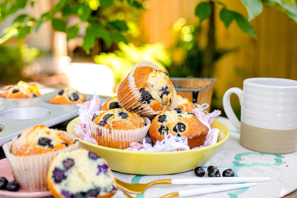 bakery jumbo blueberry muffins 5