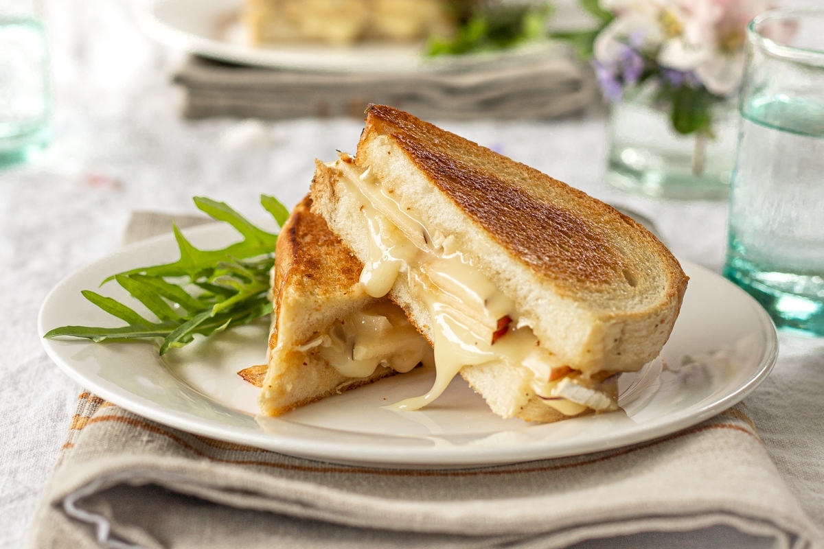 A grilled cheese sandwich on a white plate.
