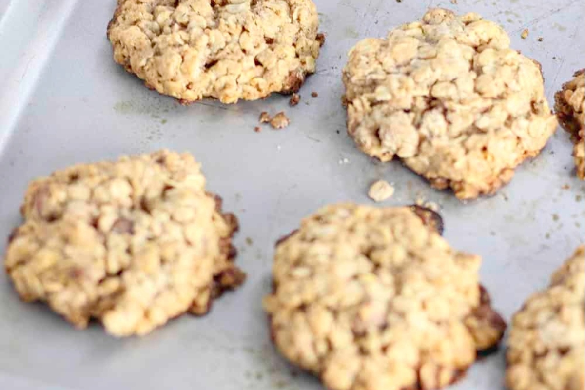 Oatmeal cookies on a baking sheet.