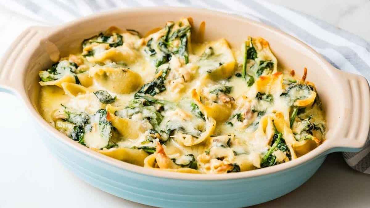Chicken Alfredo Stuffed Shells. 