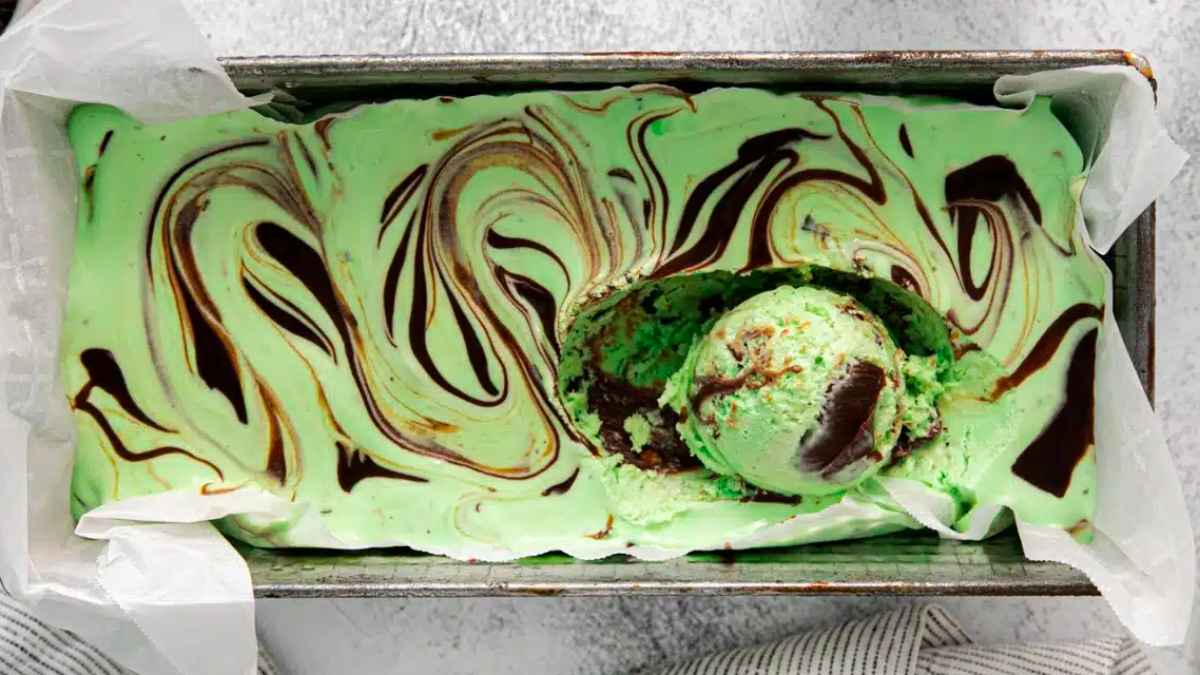 Mint Chocolate Chip Ice Cream.