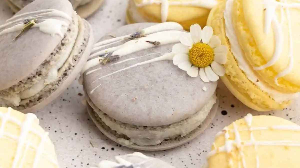 Vegan Macarons