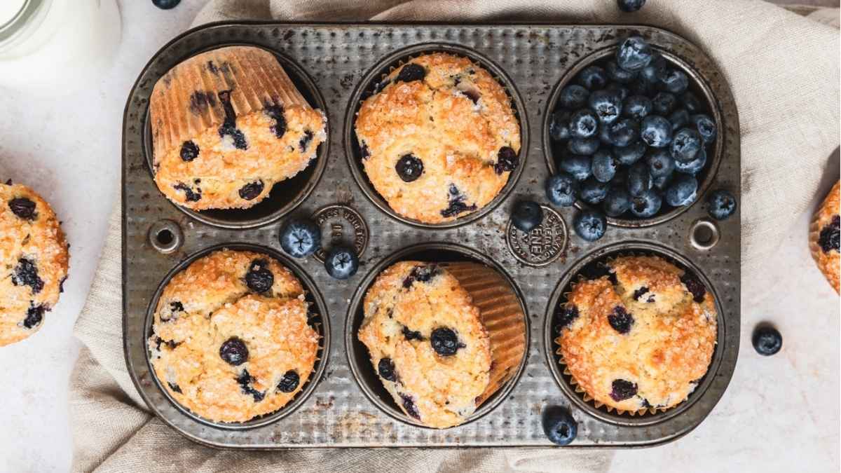 Sourdough Blueberry Muffins.