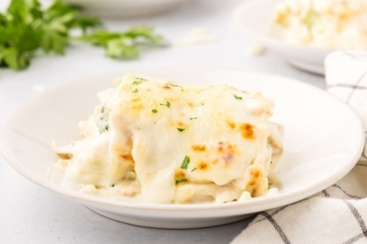 Chicken Alfredo Lasagna