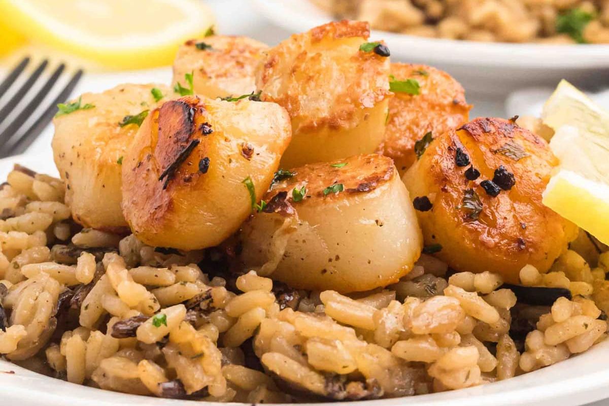 Pan Seared Scallops