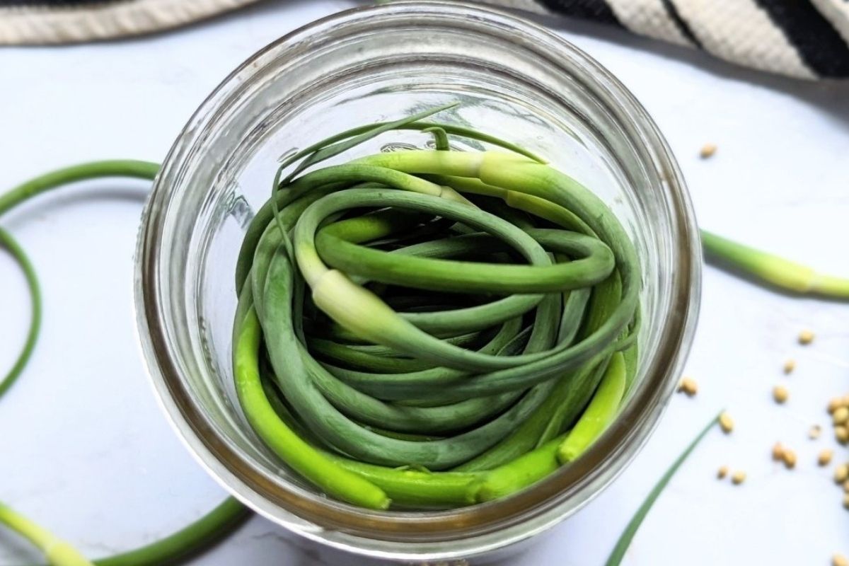 Quick Pickled Garlic Scapes Recipe