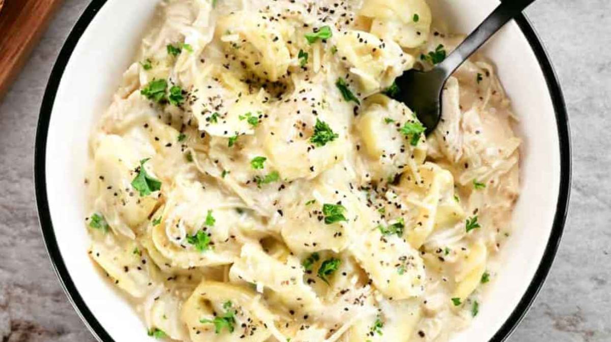 Slow Cooker Chicken Alfredo Tortellini. 