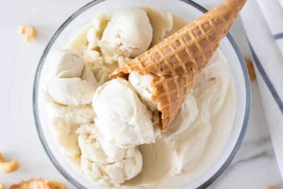 Coconut Cashew Vanilla Ice Cream. 