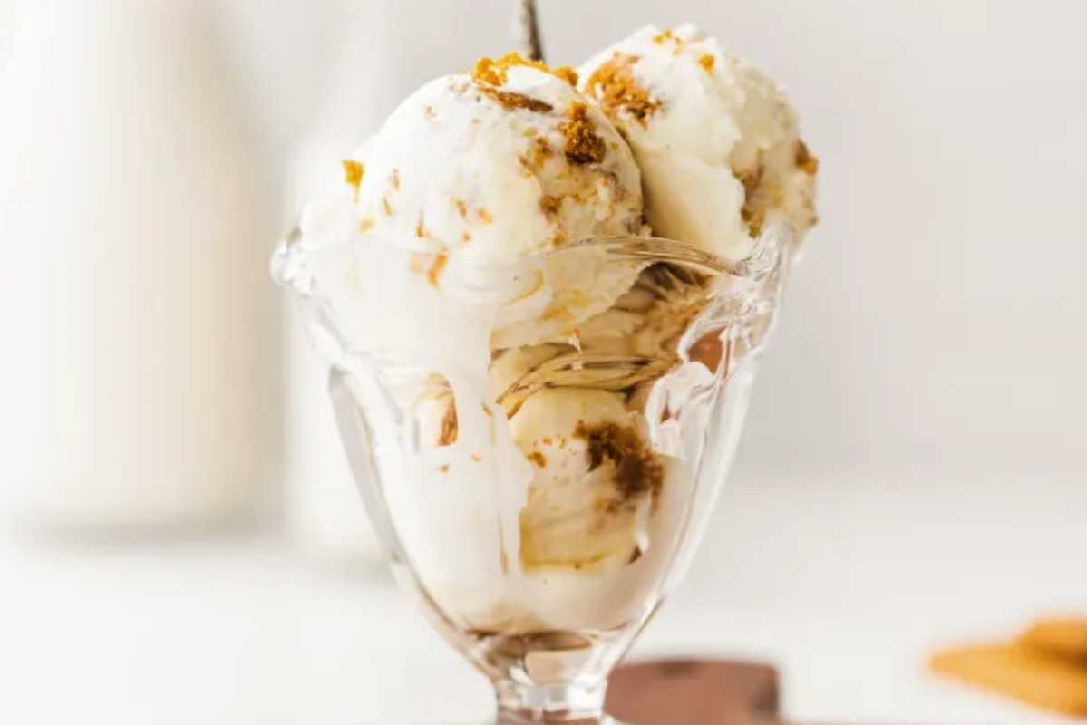 Cookie Butter Ice Cream.