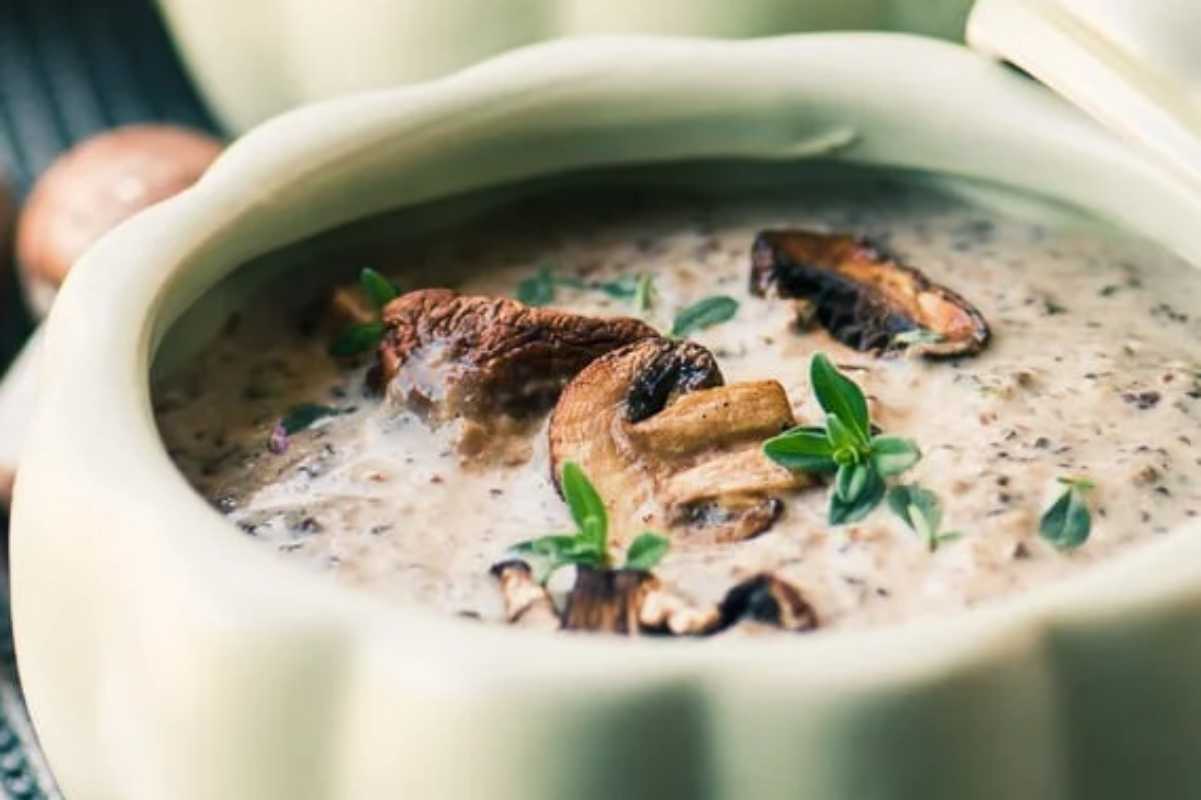 Mushroom and Brie Soup.
