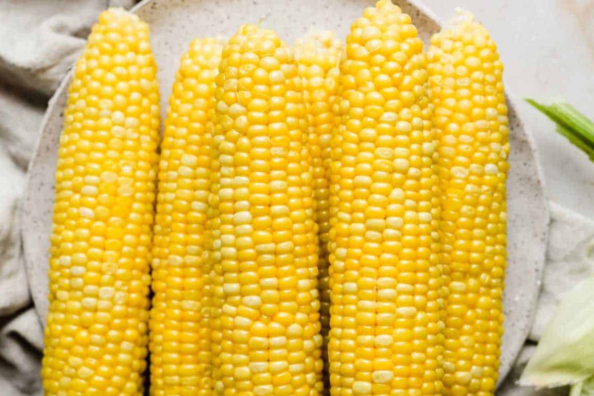 Sweet Boiled Corn. 