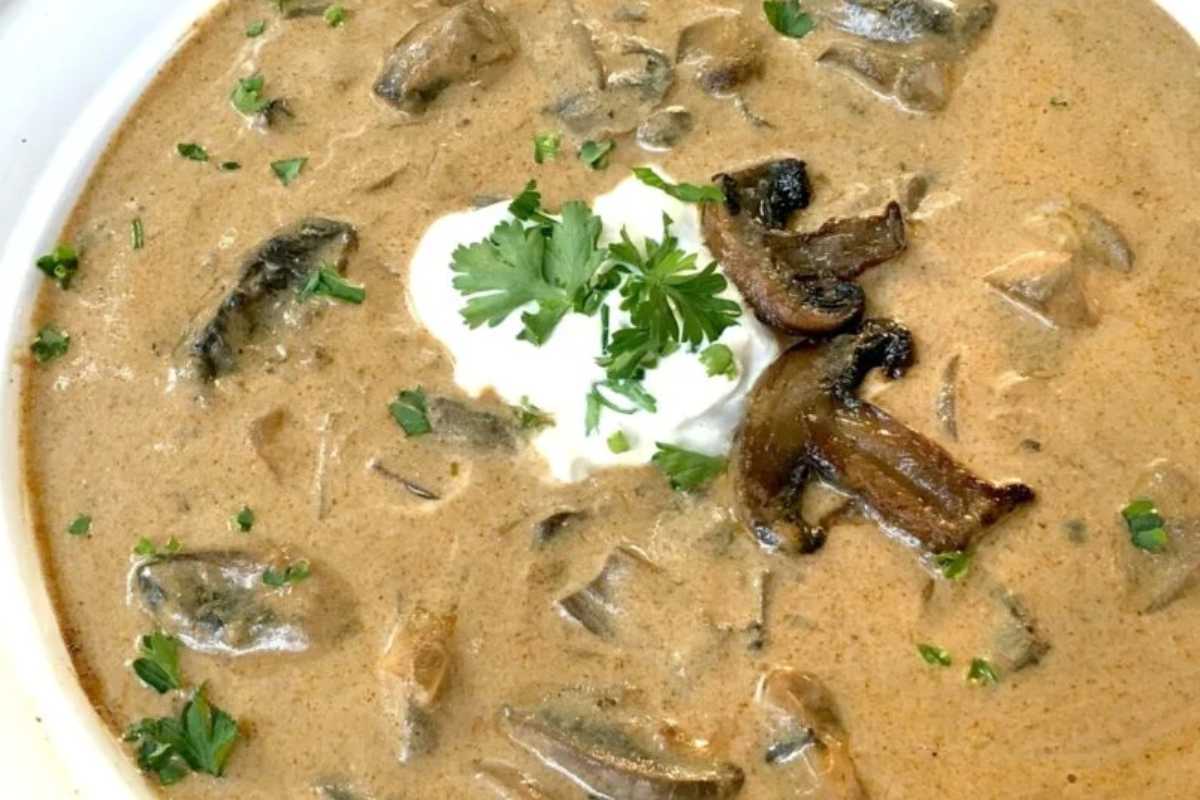 TO-DIE-FOR Hungarian Mushroom Soup Recipe. 