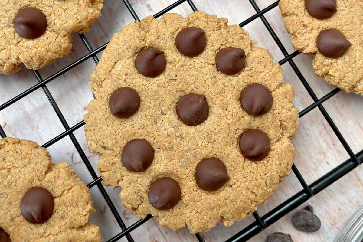 Vegan Protein Cookies. 