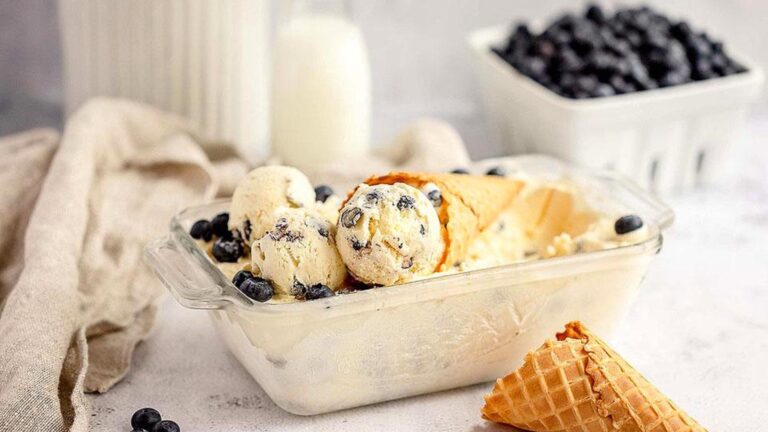 Blueberry Cheesecake Ice Cream.