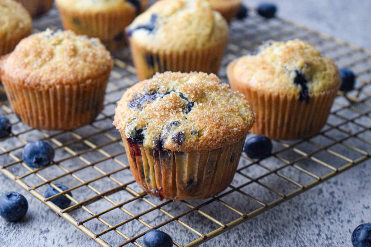 Blueberry Buttermilk Muffins. 