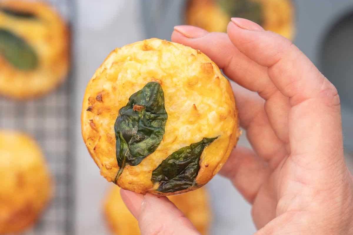 Breakfast Egg Muffins. 