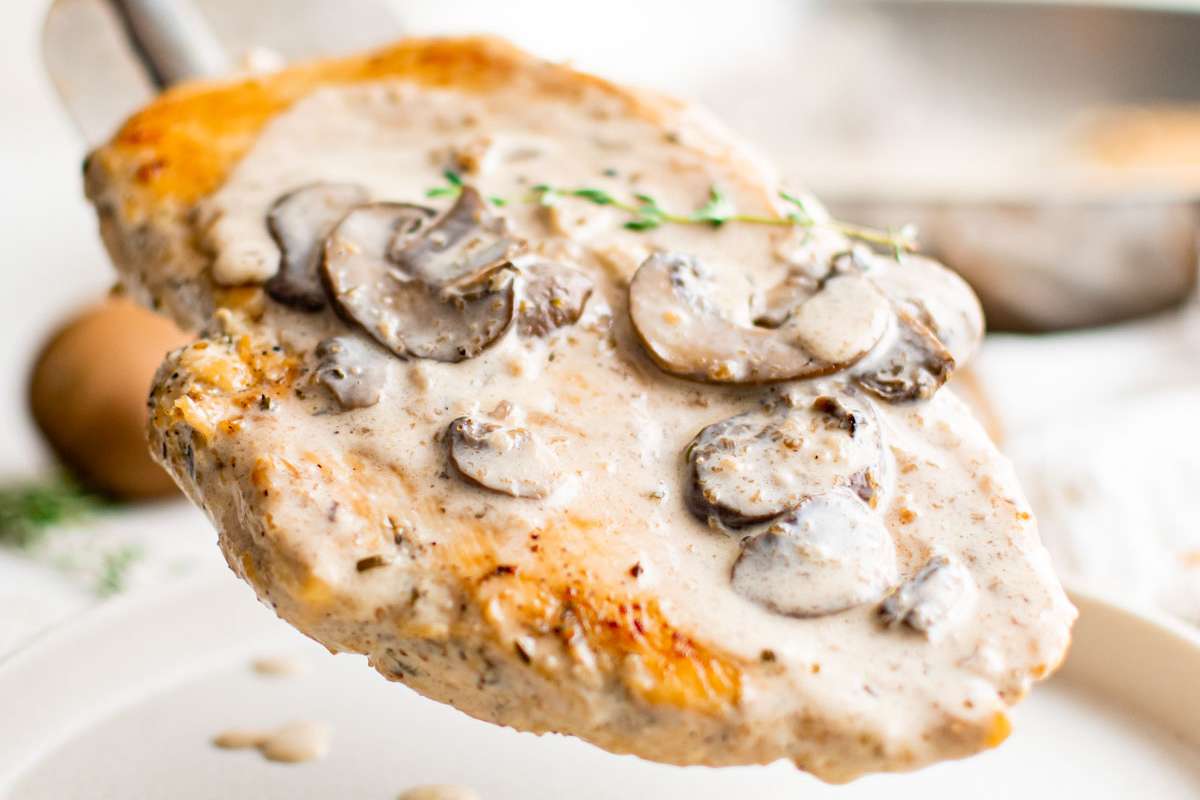 Creamy Mushroom Chicken. 