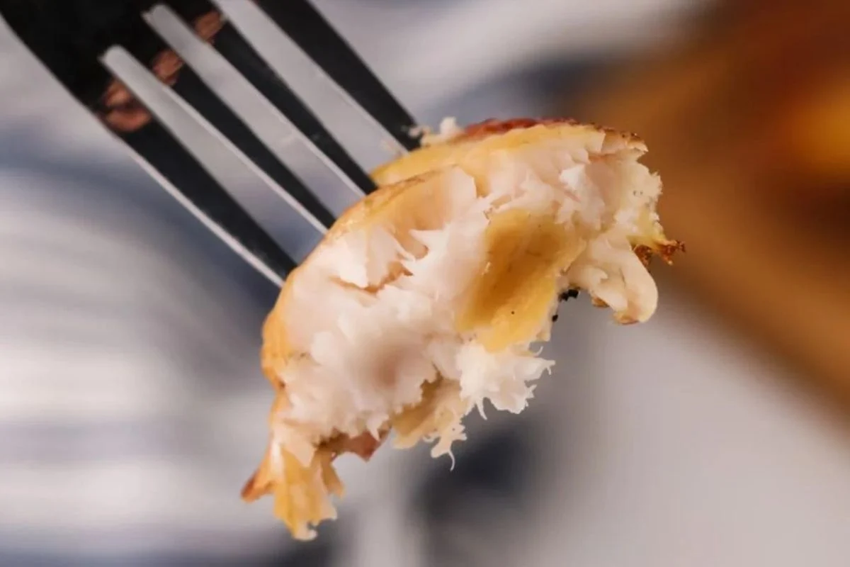 Close-up of a flaky, smoked fish piece on a fork, highlighting its tender texture.