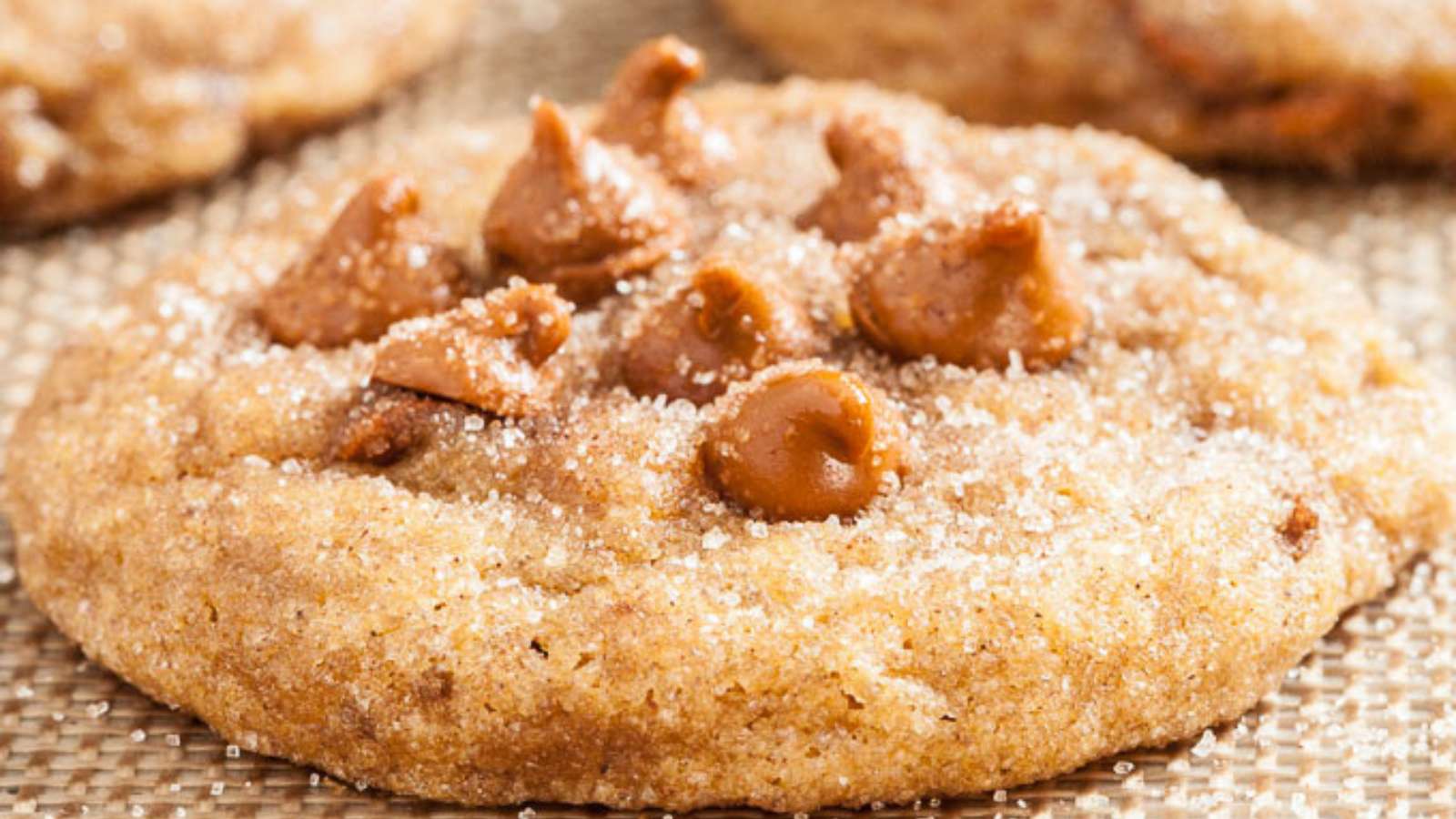 Chewy Pumpkin Snickerdoodles recipe by Chew Out Loud.