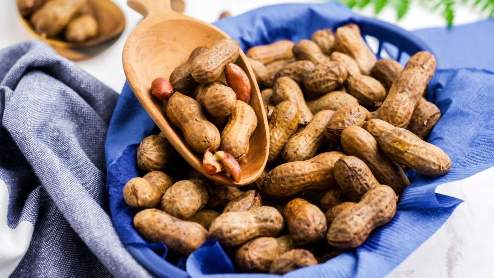 Instant Pot Boiled Peanuts recipe by xoxoBella.