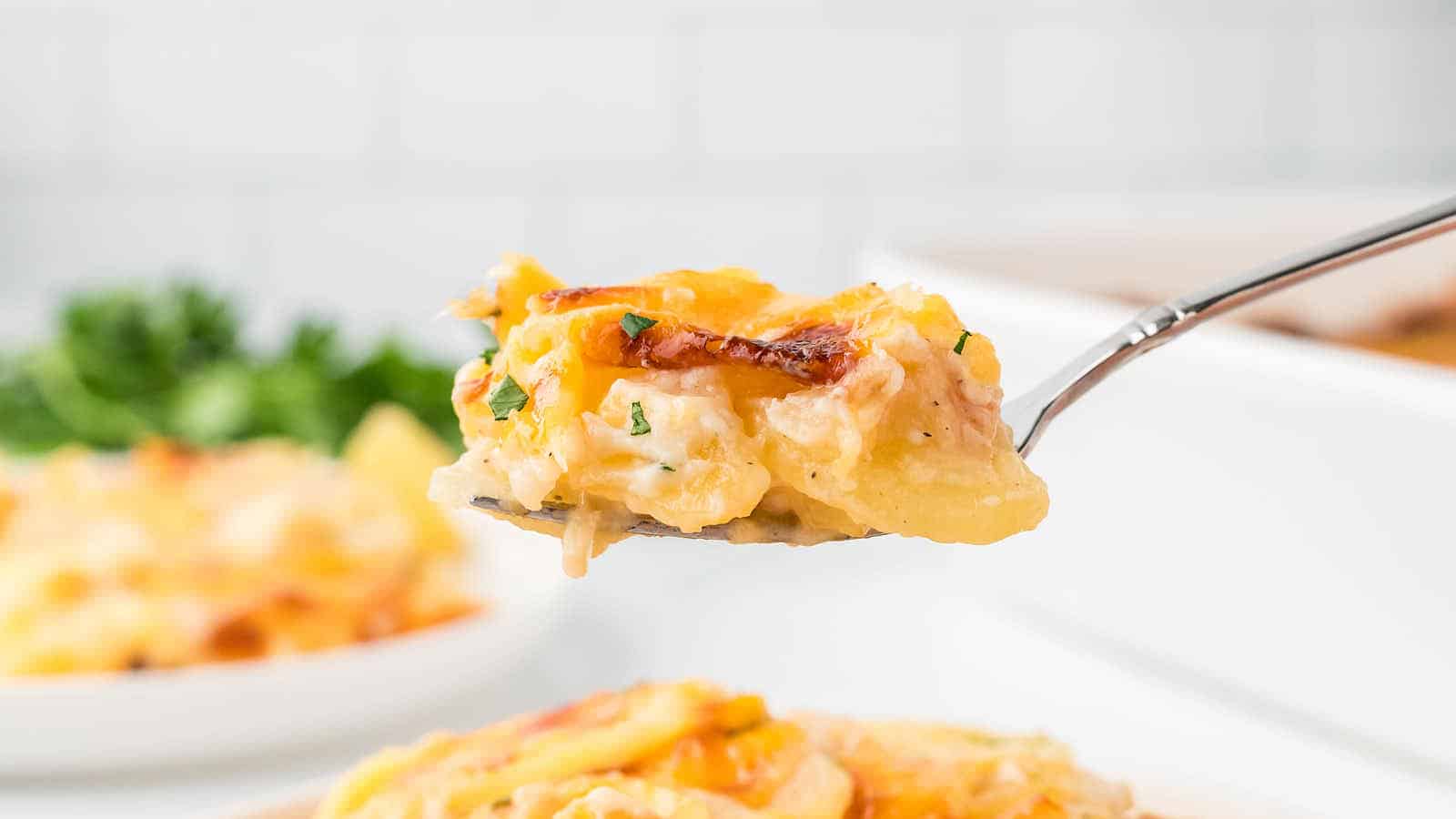 Scallop Potatoes recipe by Cheerful Cook.