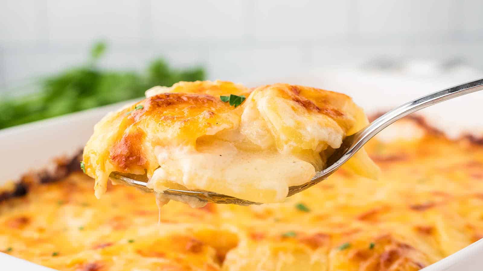 Scallop Potatoes recipe by Cheerful Cook.